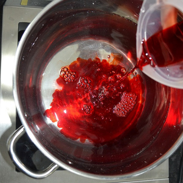 Natural dye workshop 3