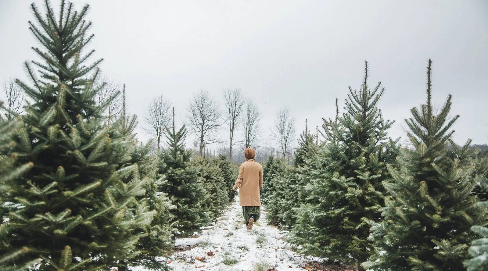 Extended Product Return Period for Christmas