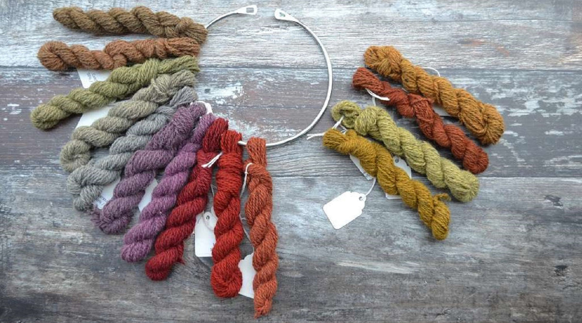 Cardiff Workshops. Natural dye workshop using plant dyes on protein and cellulose fibres