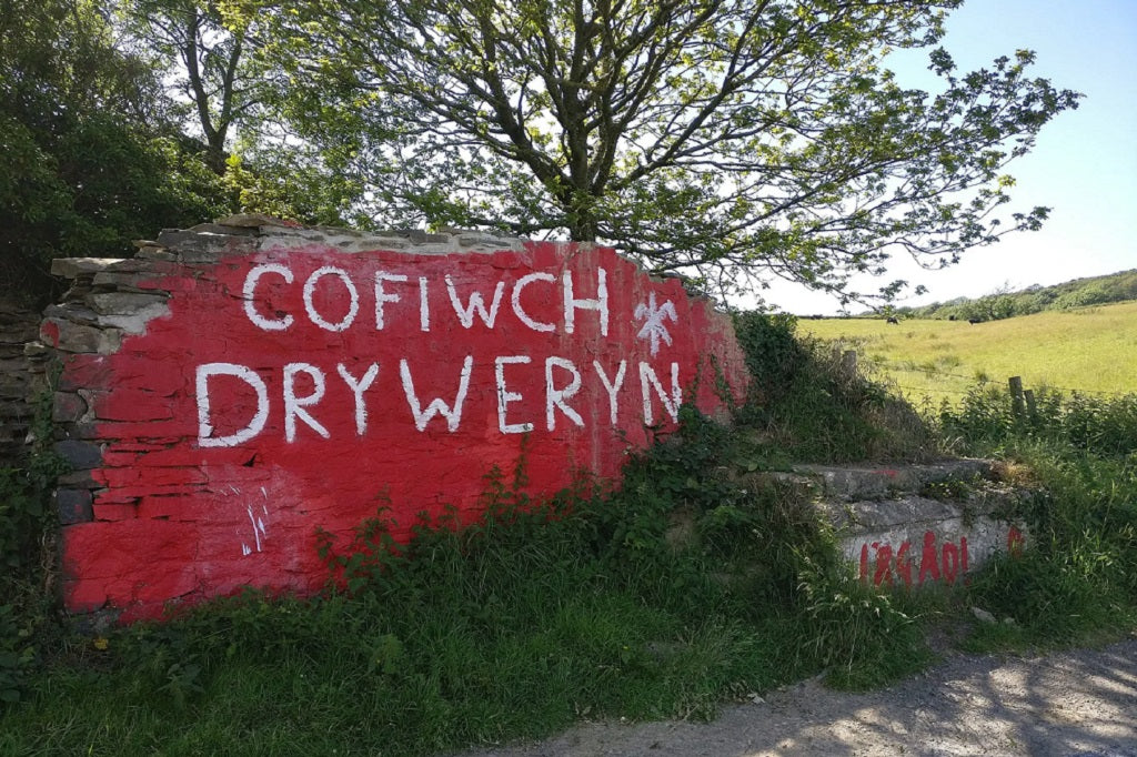 Cofiwch Dryweryn - Remember Tryweryn