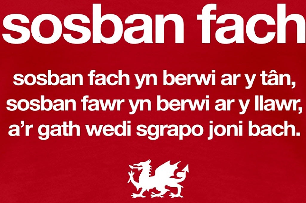 Sosban Fach - Lyrics, story and English translation