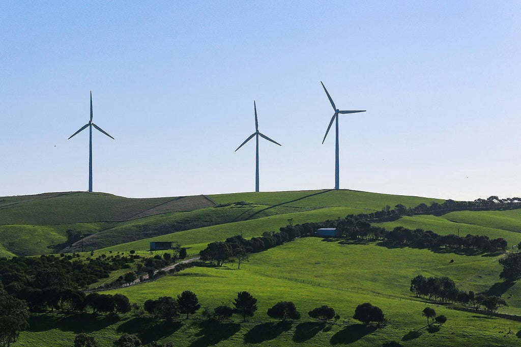 Sustainability and Net Zero Website