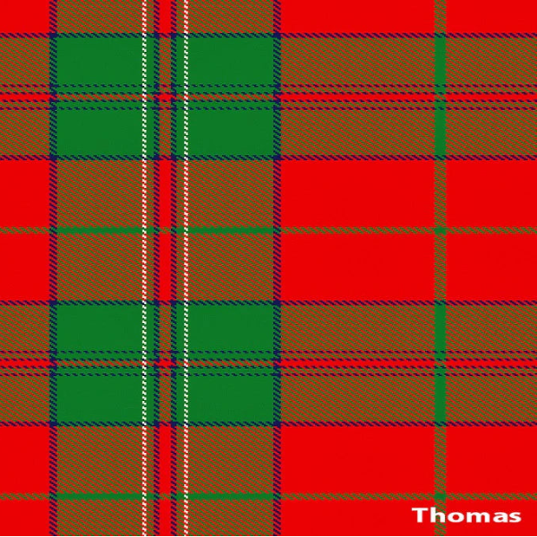 tartan scarf - thomas
