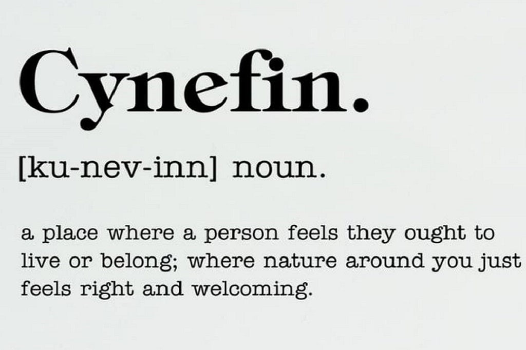 Useful Welsh Words, phrases and sayings