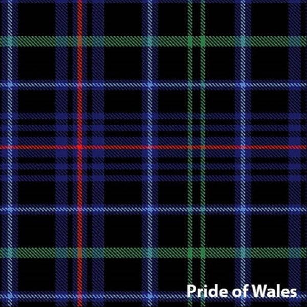 tartan scarf - Pride of Wales