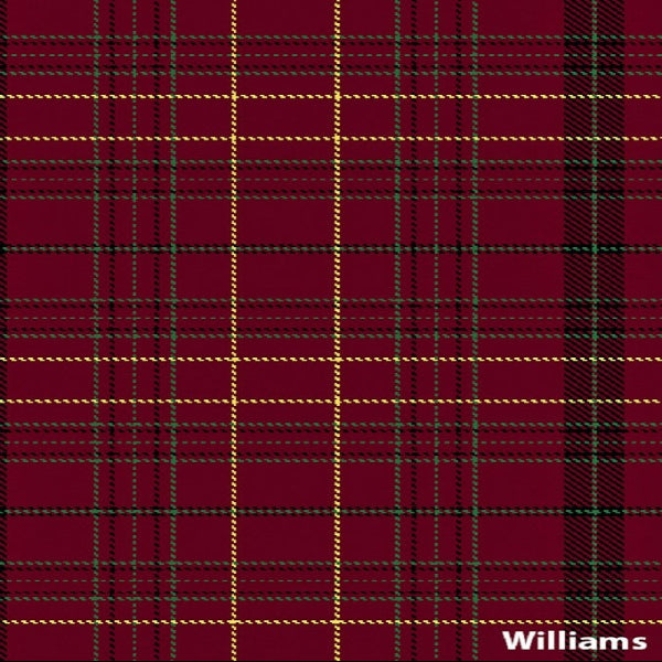 tartan scarf - williams